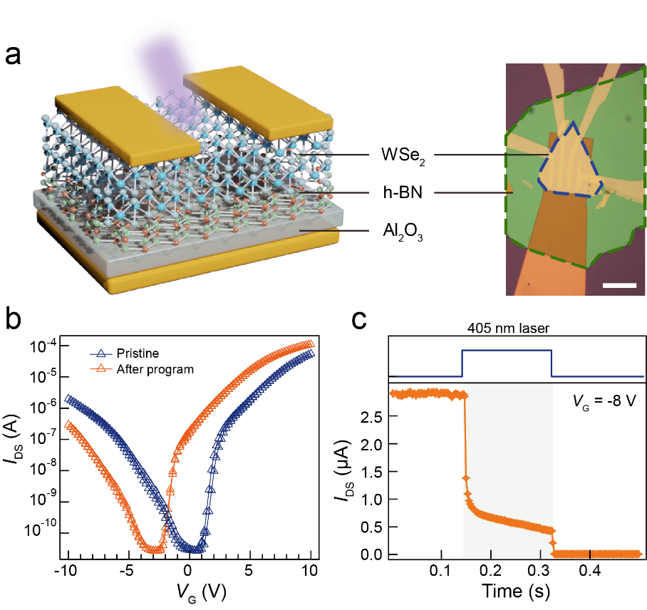 南大缪峰团队在二维光电异质结加密电路方面取得重要进展