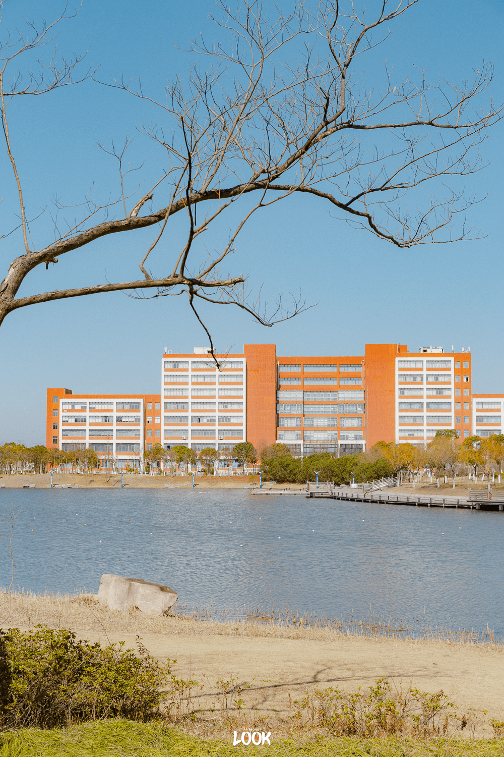 look华东理工大学看学校的第70个春天