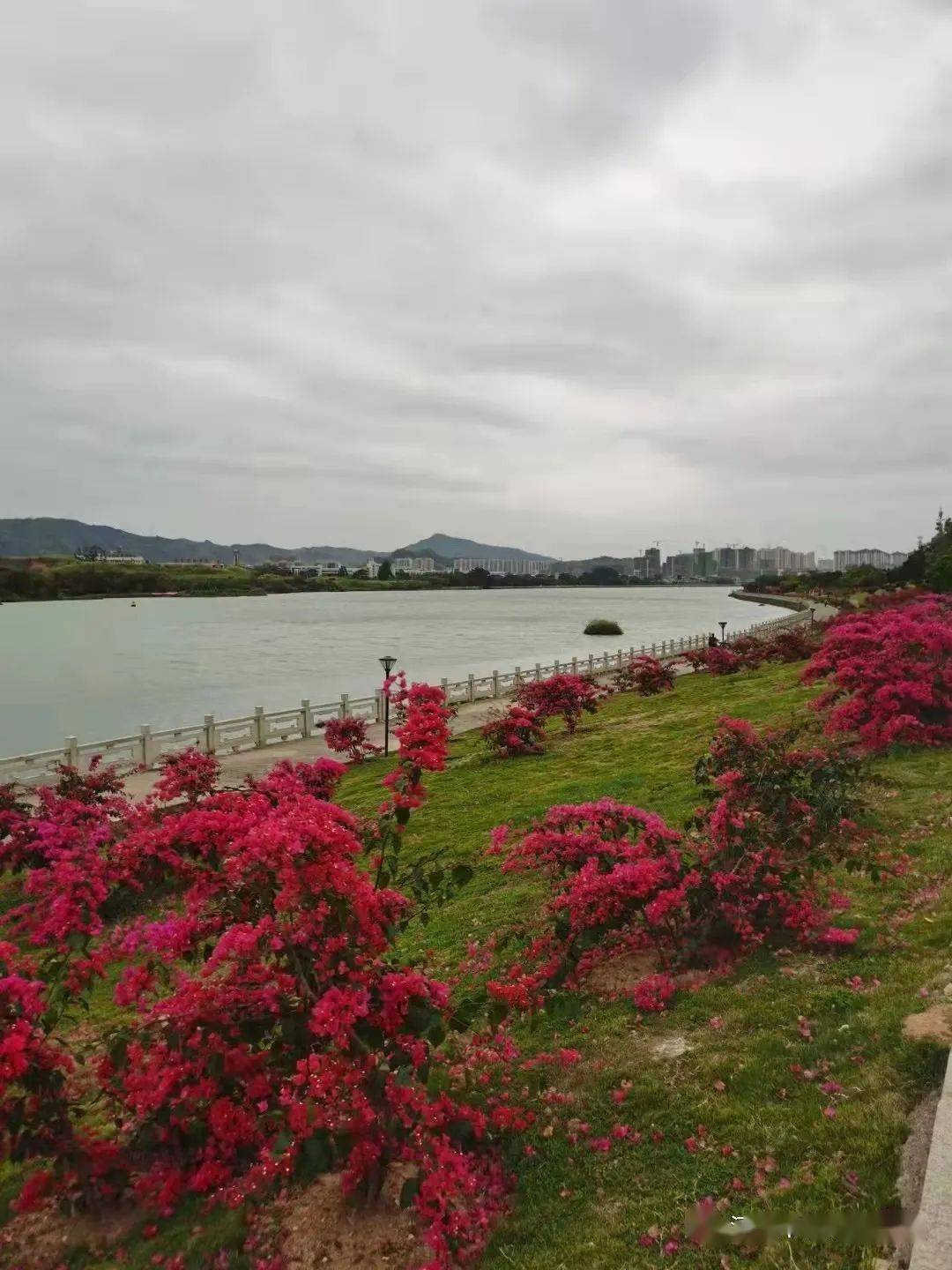 连平上坪赏桃花东江湾公园一天游