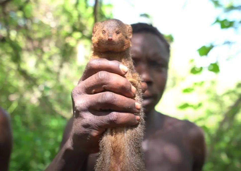 科普知识｜为什么蹲着才是最好的办公姿势？