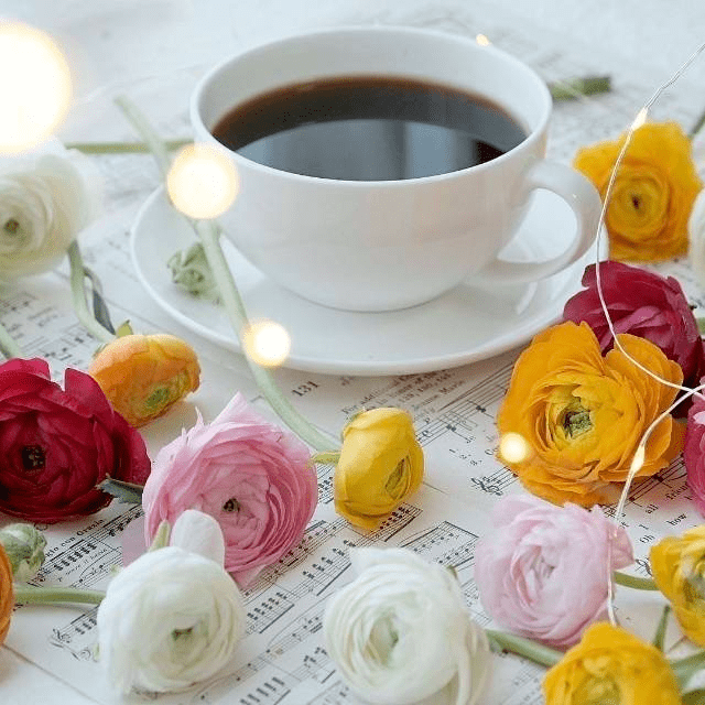 产品【福利】9.9元起亲测好用的爆款好物，包邮到家！