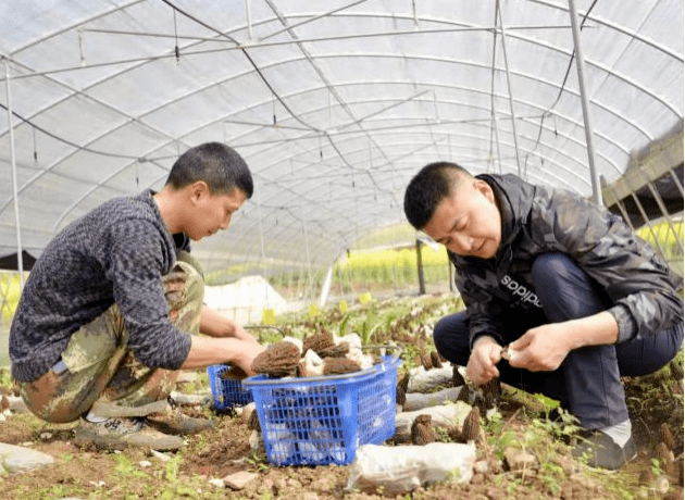 點贊這位利州團幹部榮獲我們村的年輕人vlog最佳人氣獎