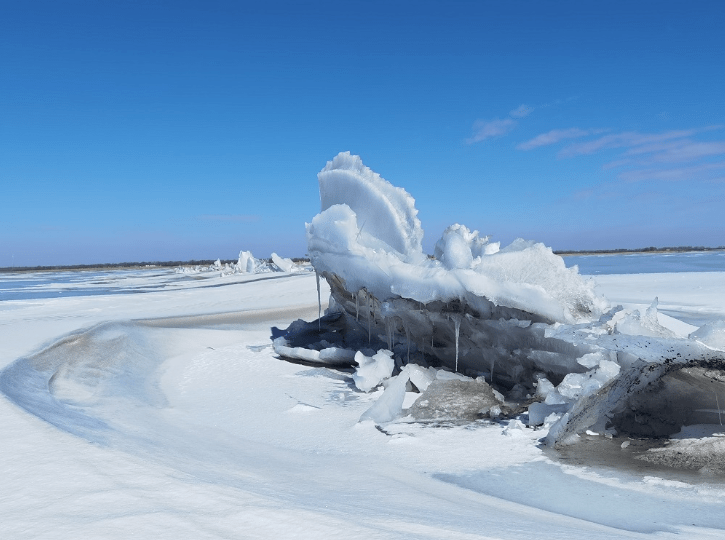 视觉盛宴河口湿地冰凌美景惹人醉