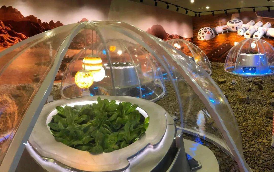 广州cbd居然藏着20000㎡的农园秘境解锁农业田园出圈玩法