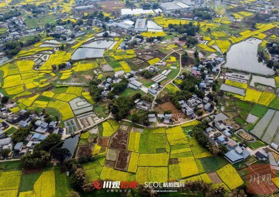 2021年,我区水美乡村建设成果明显,其中姚渡镇凉水村,坪家村被命名为"