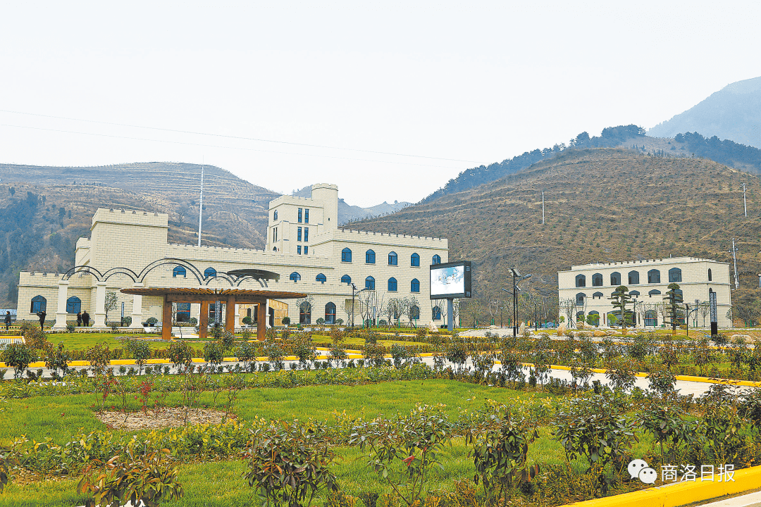 丹凤|百年品牌 再铸辉煌——关于丹凤葡萄酒产业的调查与思考