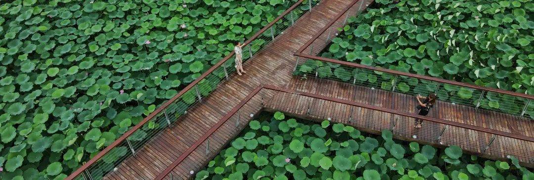 "踏水公园"和"叠水公园"新建了节点景观在人流集中区域分别改建整治