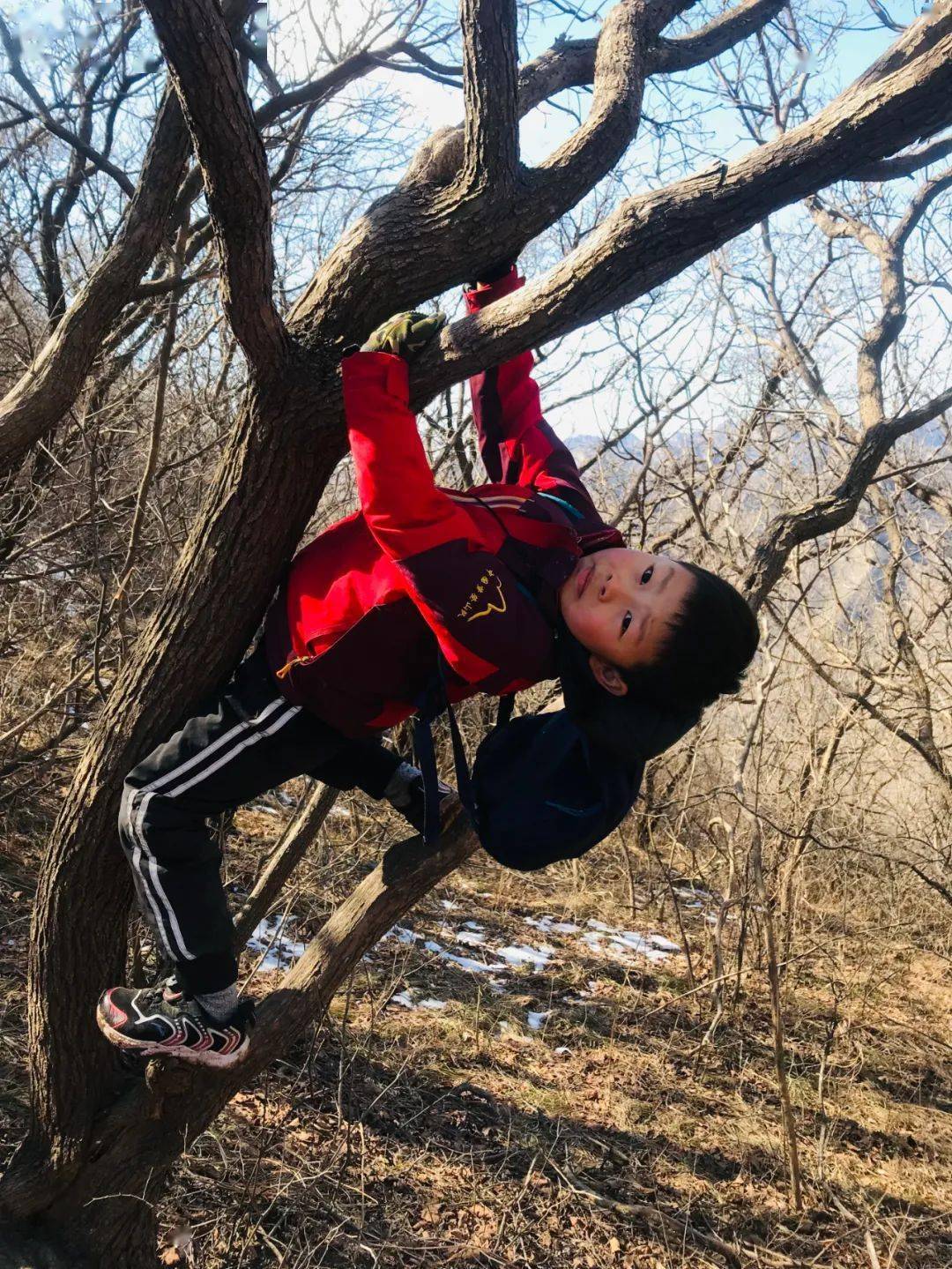 ��������ɽ ��֤����Ȼ���漣 �й��ε�ɽ�ӵ����ٶ�ʮһ�� ...