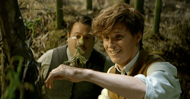 The|《神奇动物3》确认引进啦！麦叔版格林德沃你期待吗？