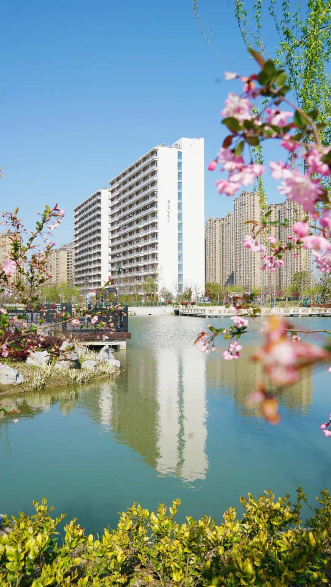 三月,春风十里昆山开放大学spring春天斑斓炫目又明媚喜人早莺新燕,杂