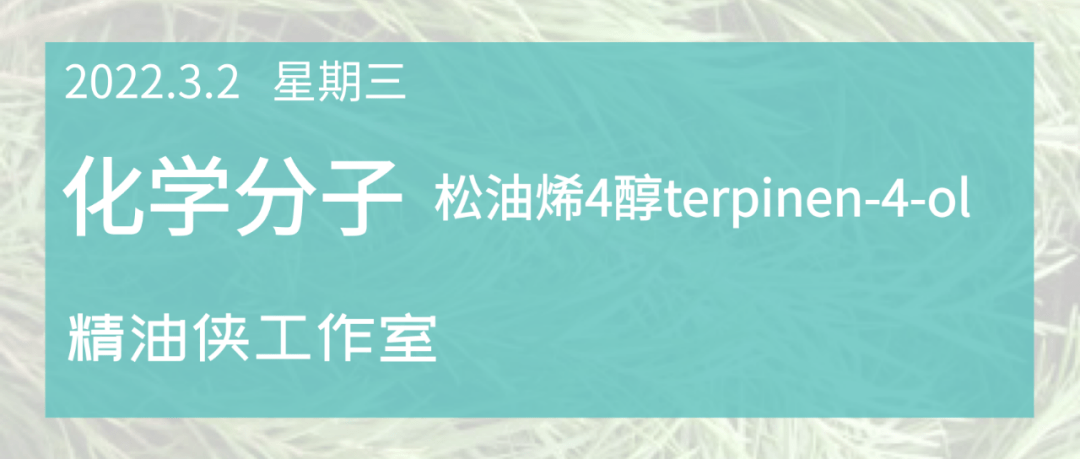 分子单萜醇松油烯4醇