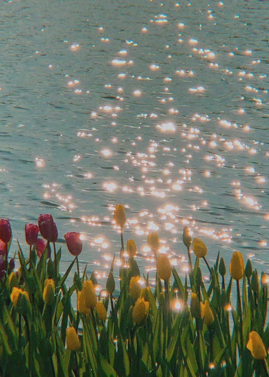 背景图是好看的朋友圈背景图29