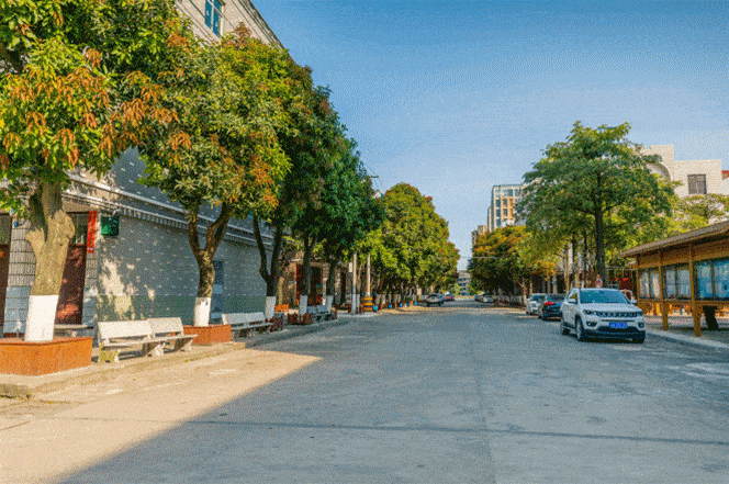 捐资800多万元漳港街道乡贤同心助力乡村振兴