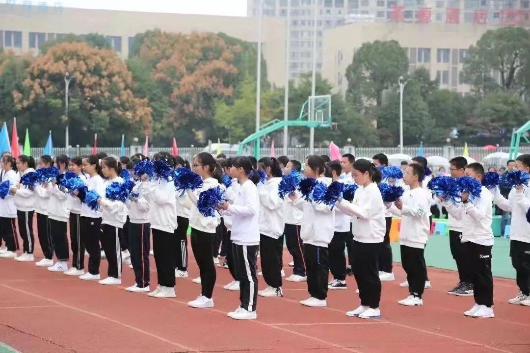 我的带班故事泰顺县实验中学陶郑仙春风化雨润思想增力赋能锻人格