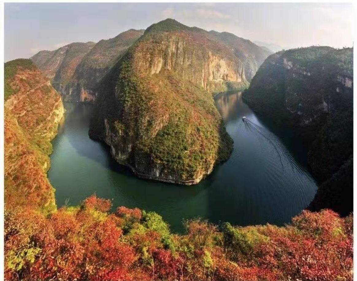 乡村|第四届长江三峡（巫山）李花节3月11日开幕