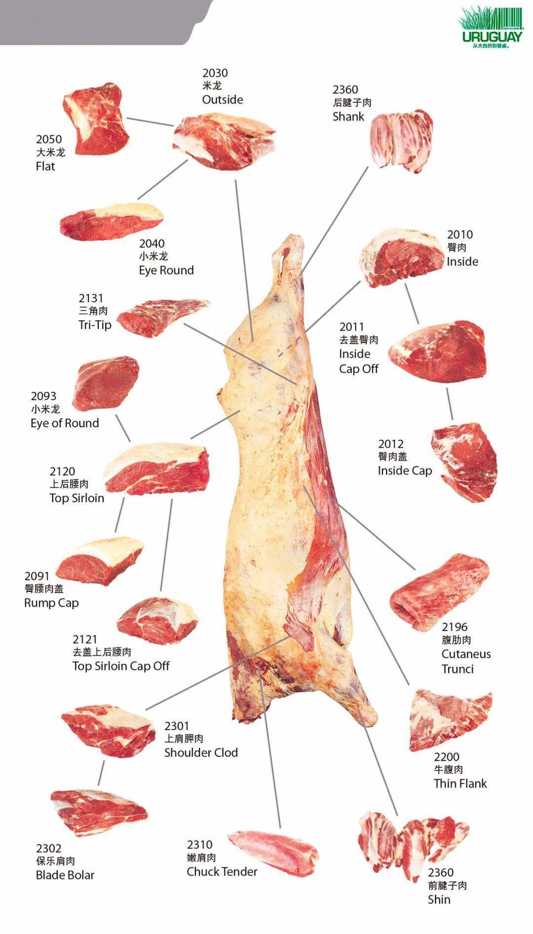 乌拉圭(牛羊)肉品百科手册中英,英西对照版两册_分割_产品_行业