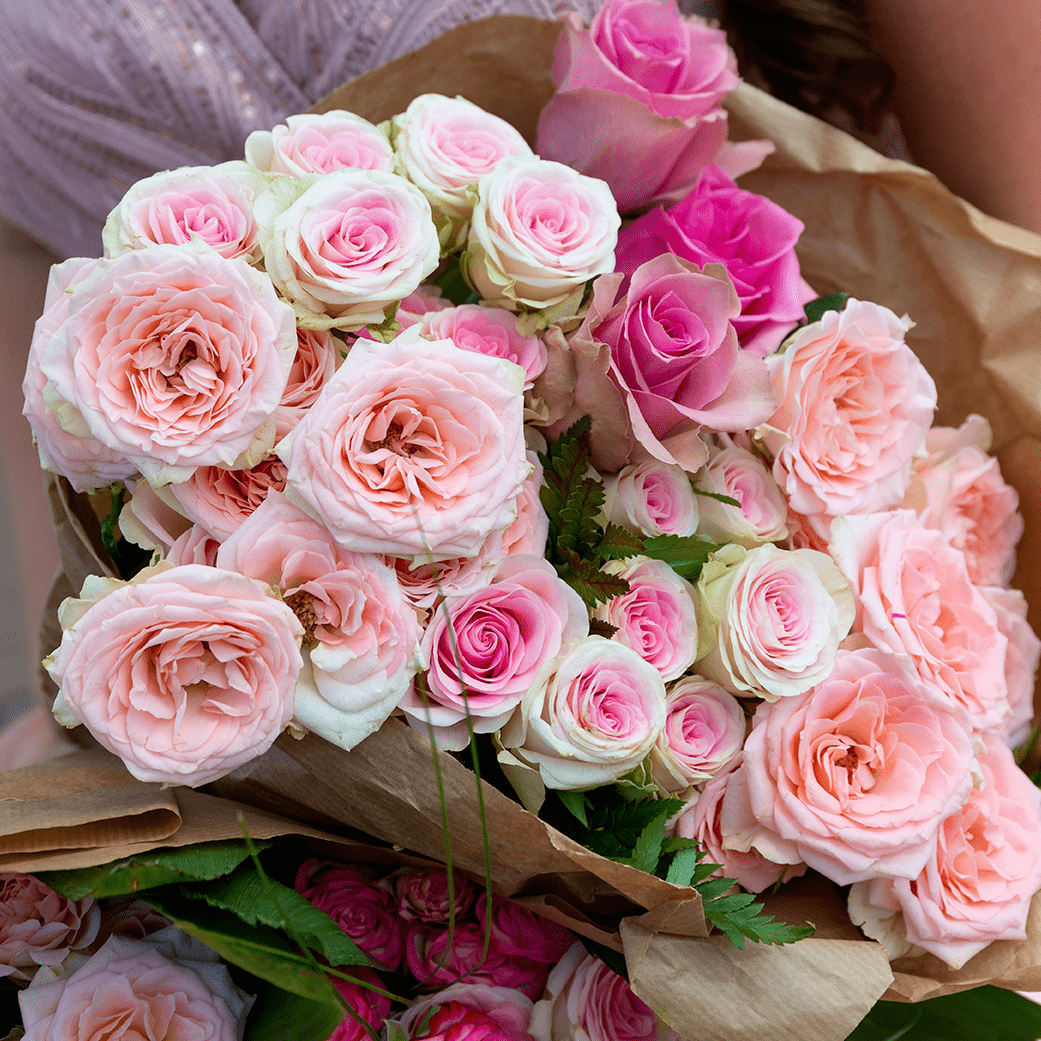 浪漫粉色多头玫瑰,唤醒春季的温柔