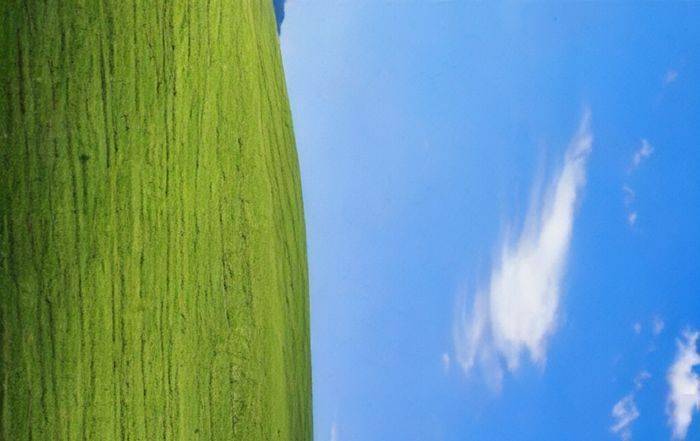 微软亚洲研究院多模态模型NüWA：以自然语言创造视觉内容