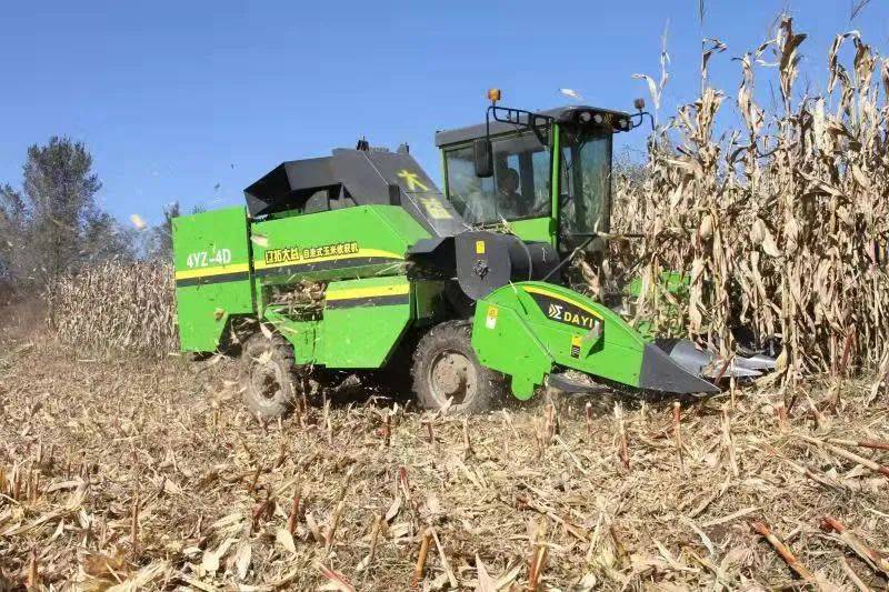 辽拓大益4yz4c自走式玉米收获机无惧地形最佳之选