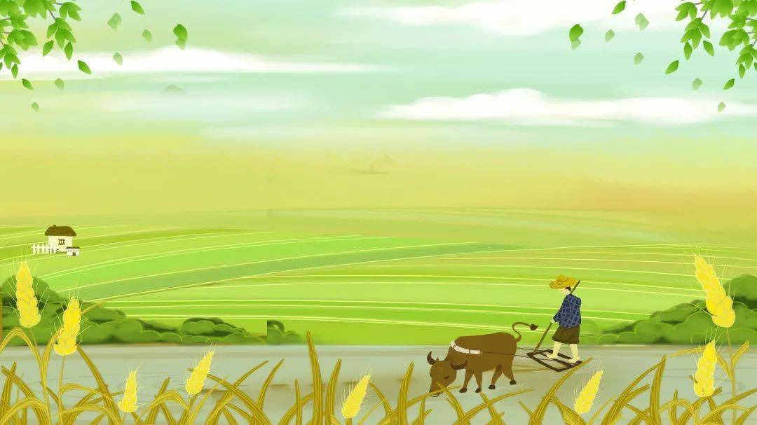 的生活一年的农事活动开始了春耕开始随着龙抬头行云布雨又称"春耕节"