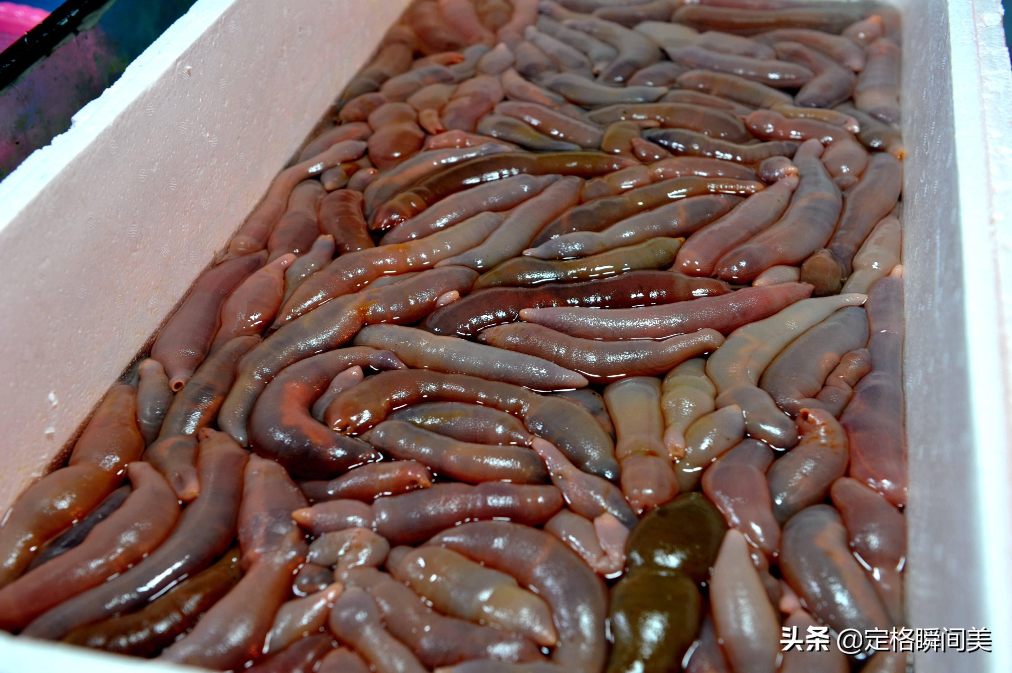 "海肠"春天炒韭菜一绝,记得媳妇妹妹第一次来家做客,在酒店里点了一盘