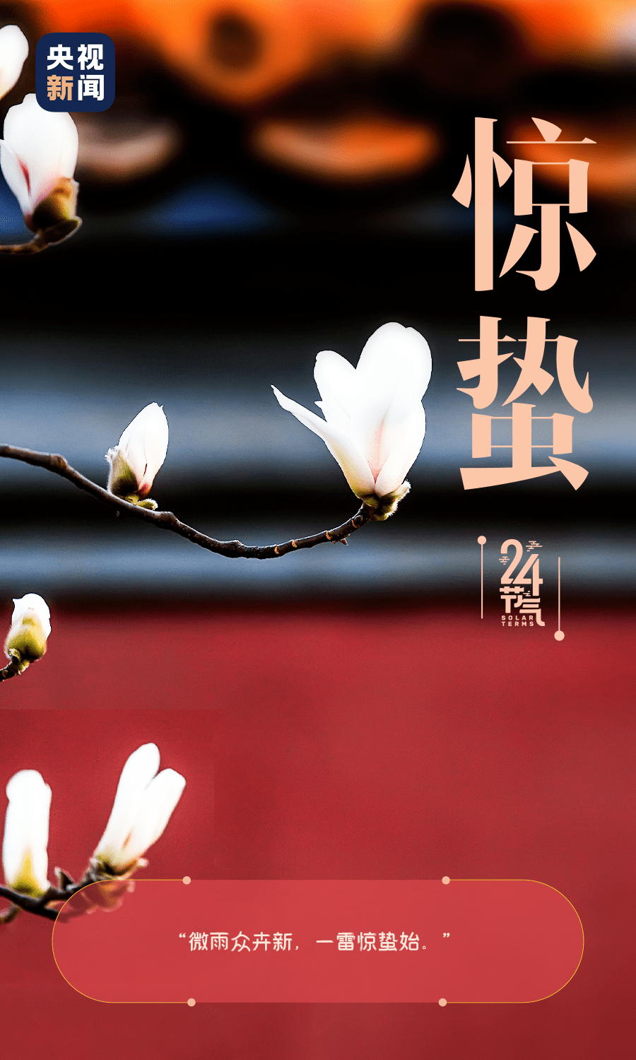 今日惊蛰_今日惊蛰_节气_王福萍