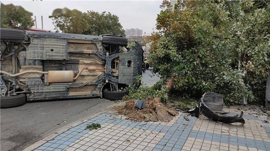 惊险揭阳一越野车为避让行人撞倒树后发生侧翻