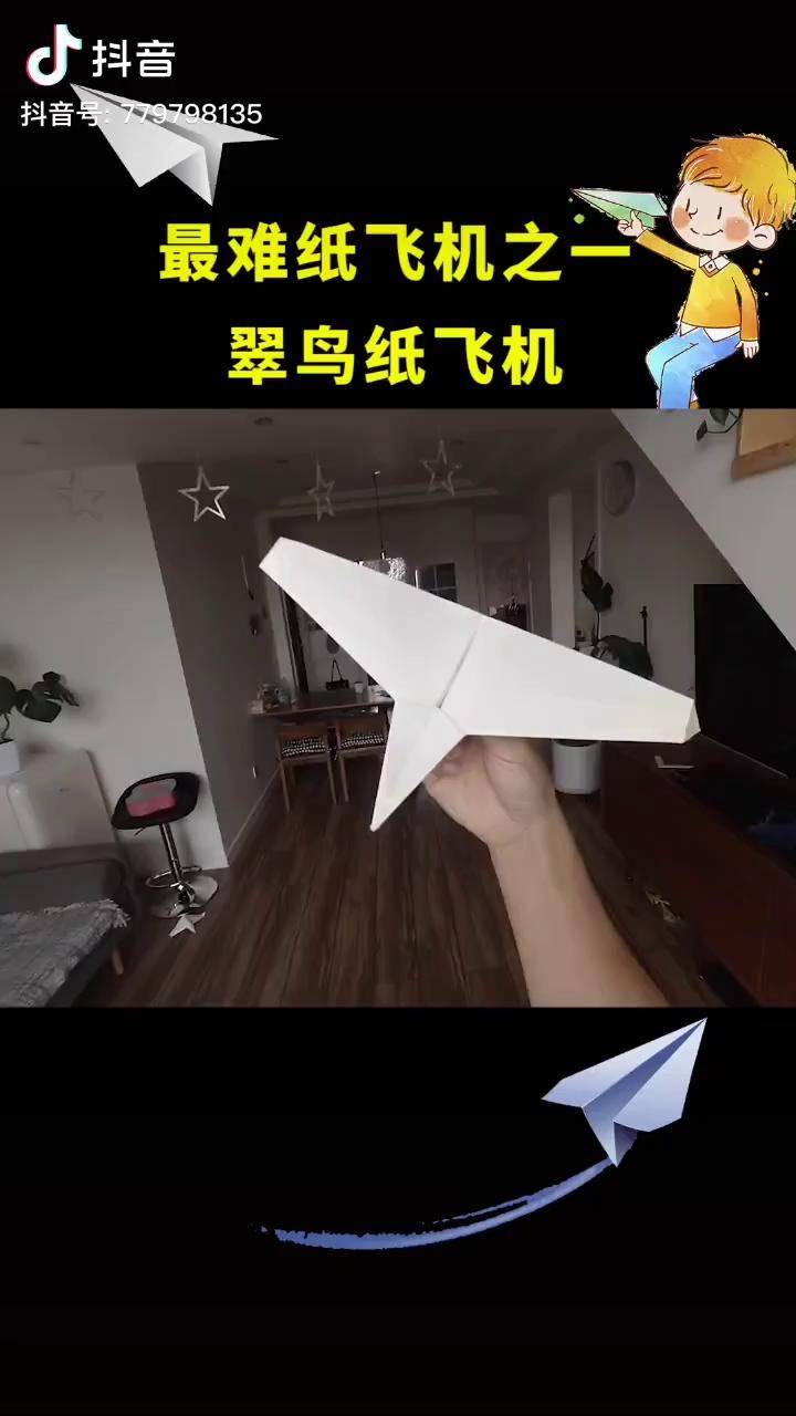 最好看的纸飞机之一翠鸟难度有点高能折出来的都是高手纸飞机折纸我要