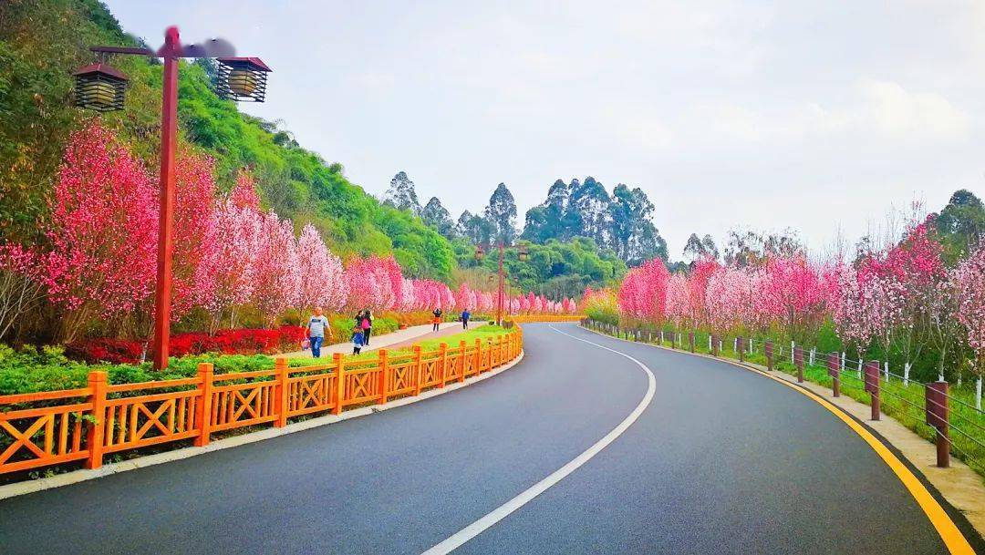 樂山人春天就該去綠心公園啊!快約起!_嘉州_城市_紅梅