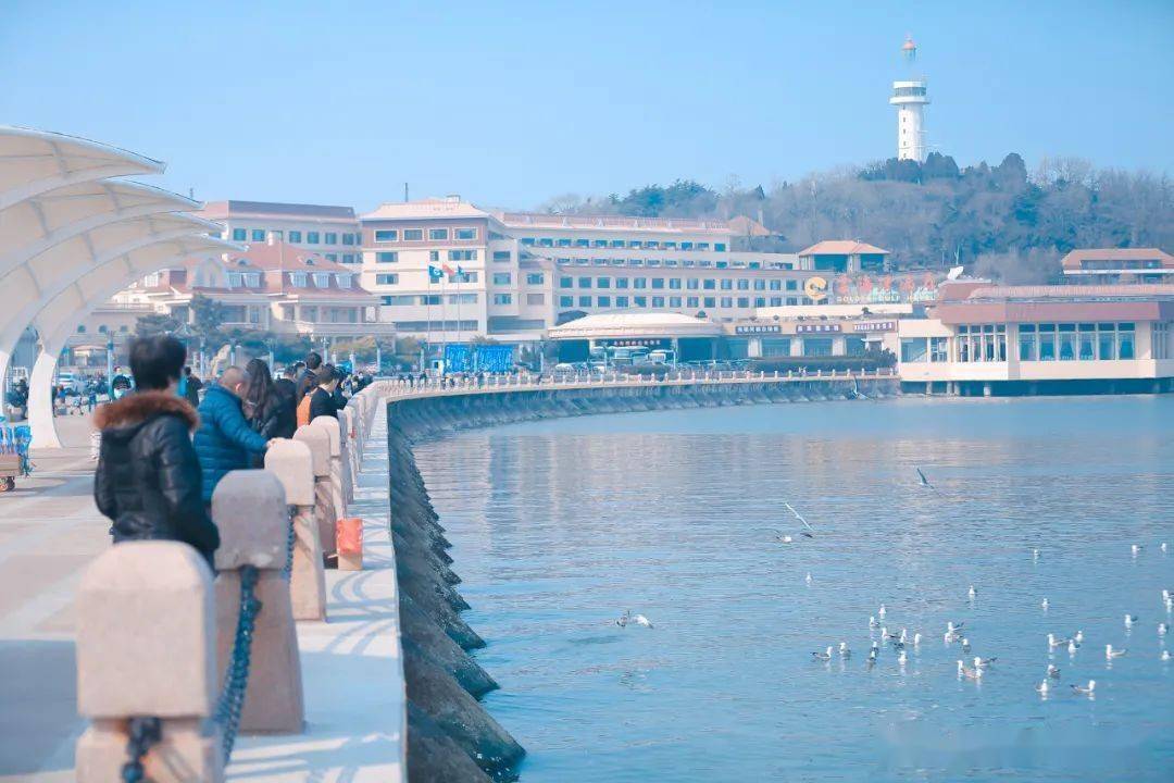 烟台|烟台“鸥遇地图”来啦，周末一起去看海鸥吧！