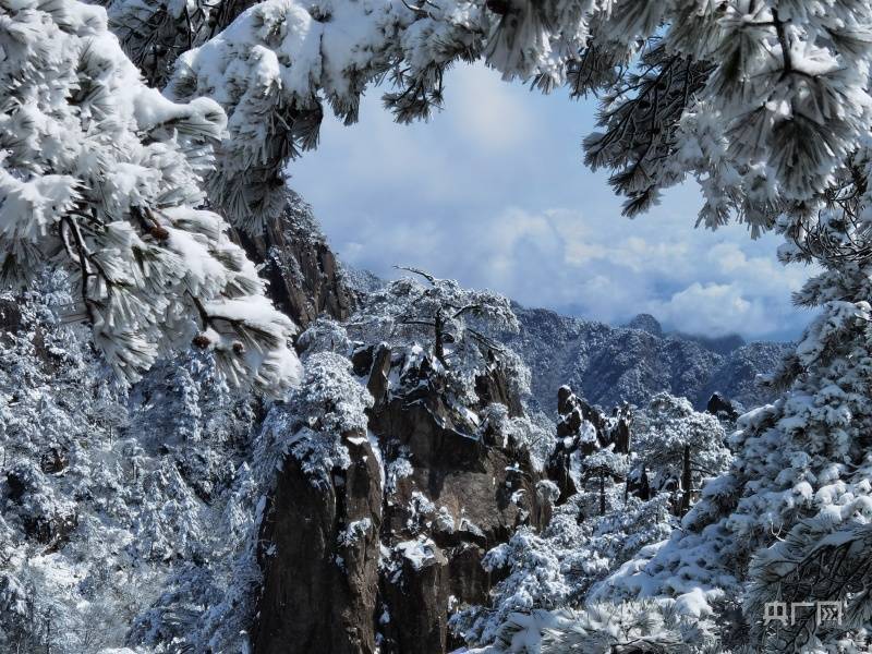 雪景|【高清组图】安徽黄山三月飘落“桃花雪”