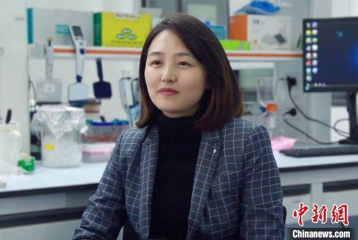代谢|沪科研团队：过量补充叶酸或叶酸代谢不足对生物体早期发育有负面作用