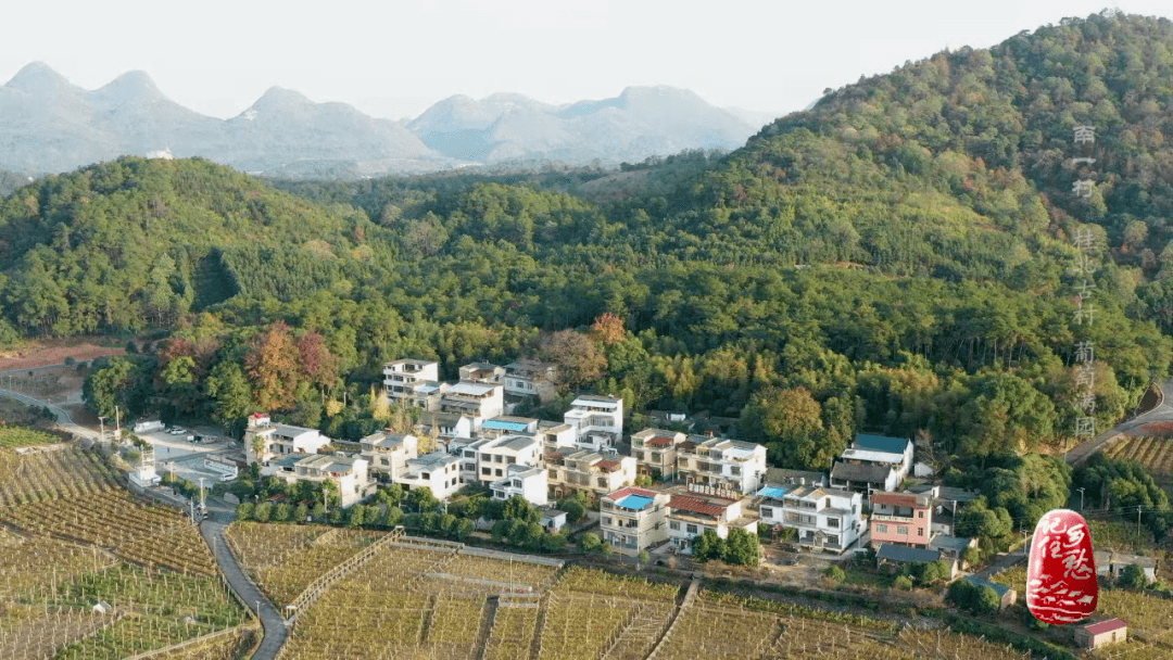 桂北古村 葡萄满园第40集 南一村周一3月7日投票选出你最期待的村吧