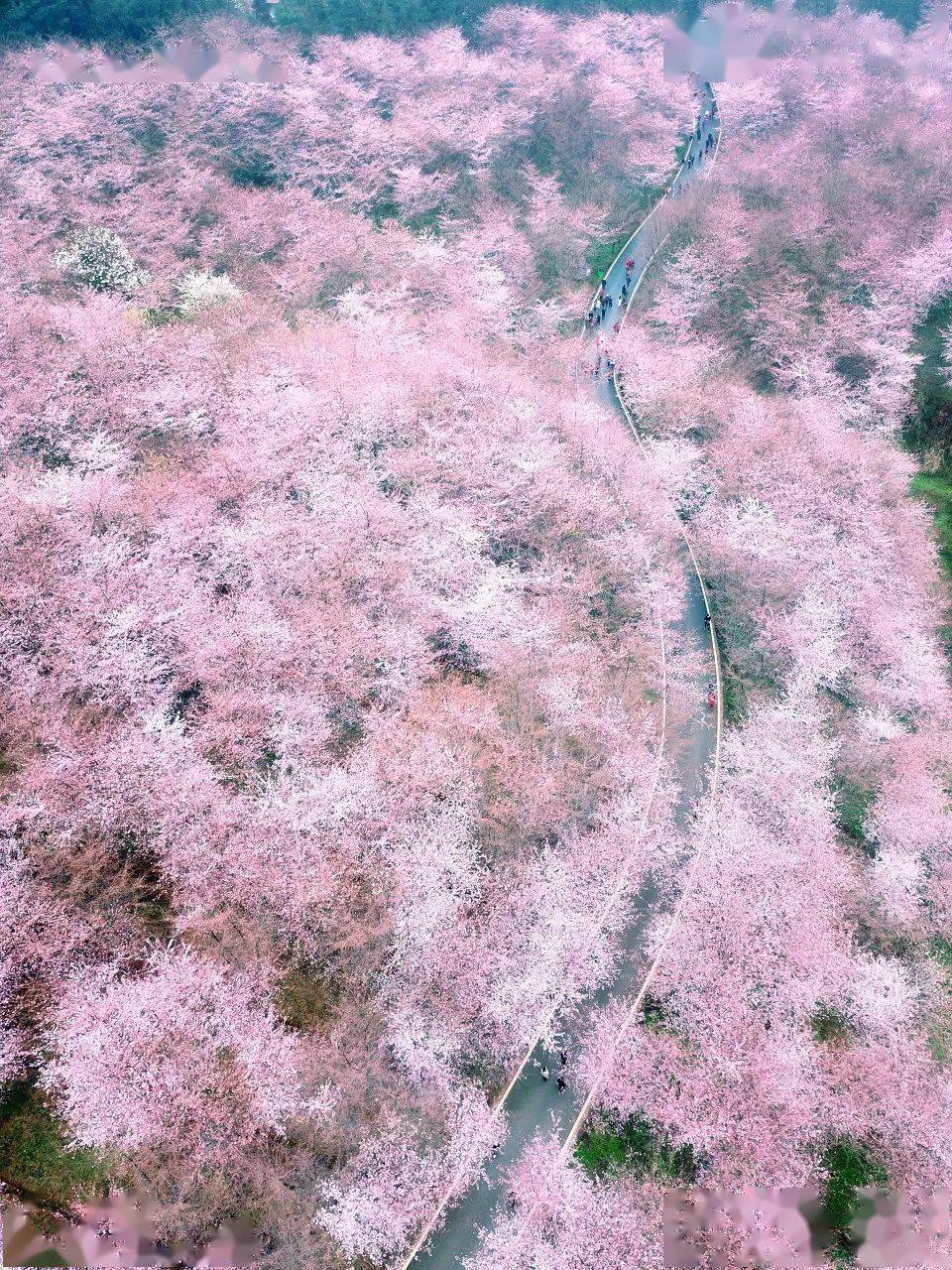 地方|忽然，想去贵州了