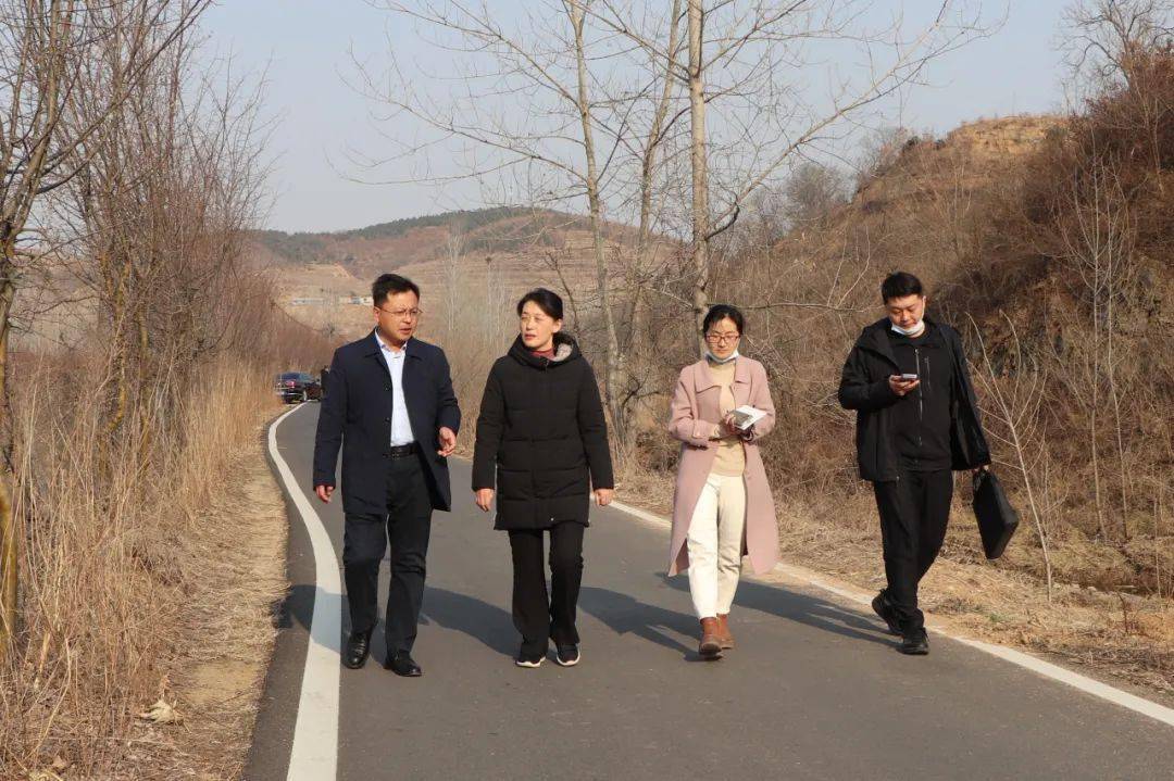 区领导冯展宁王东亮等到黄墩镇调研督导