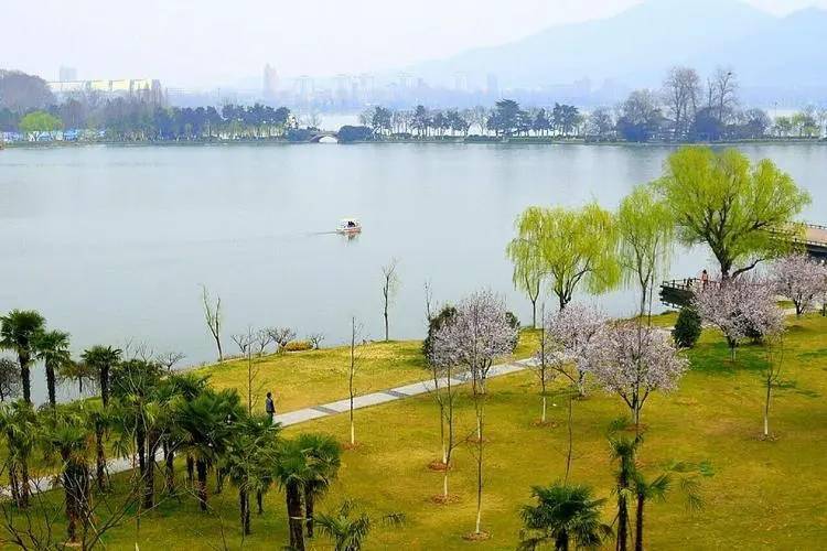 南京春天是雞鳴寺漫天粉色南理工紫色浪漫玄武湖楊柳青青