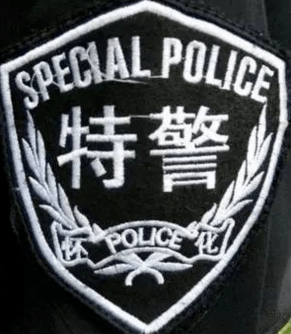 特警国旗臂章图片图片