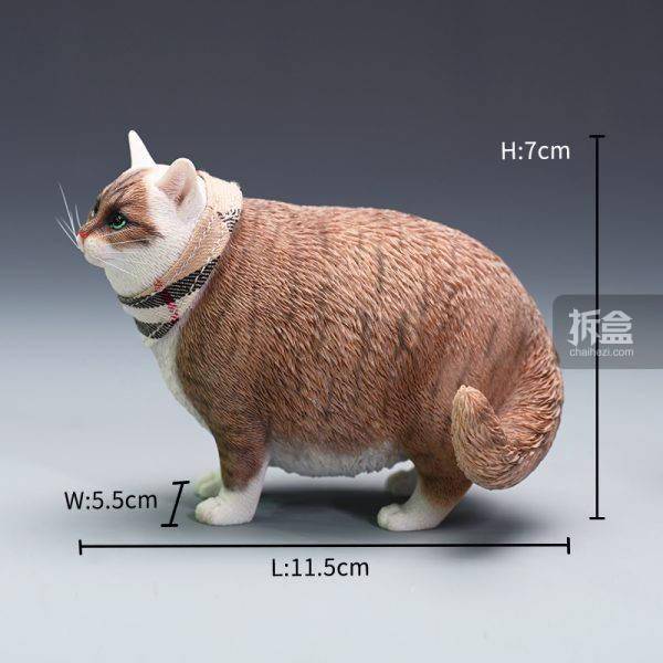 产品JXK 1/6 换头肥猫模型 仿真可爱有趣宠物猫咪动物潮玩摆件