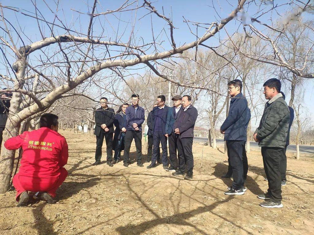 杜丰督查调研白马铺镇一季度重点工作开展情况