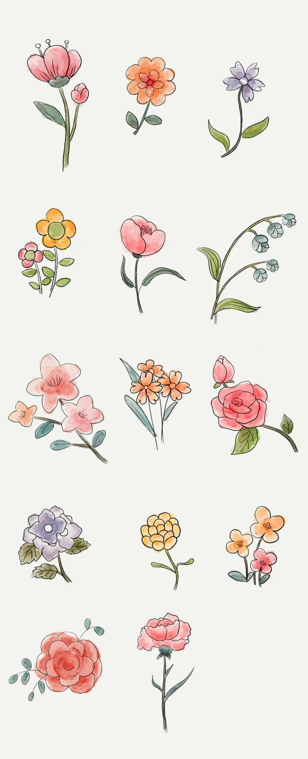 怎样画美丽的花朵图片