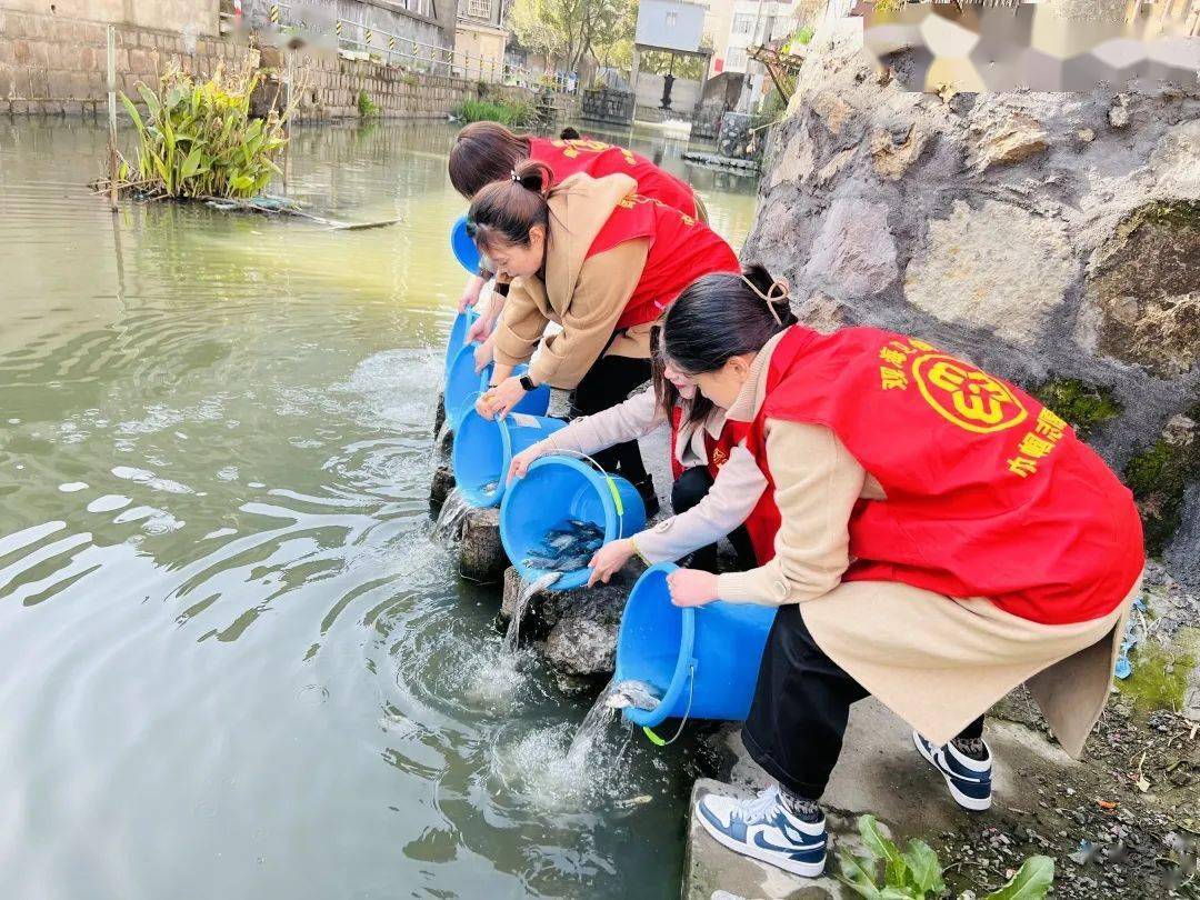 巾幗不負好春光共富共美向未來觀海衛鎮婦聯開展慶祝三八婦女節系列