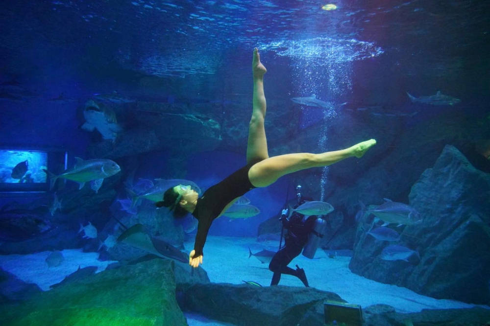 梦幻年卡礼包|女神“价”来了，点击领取超值大礼包！