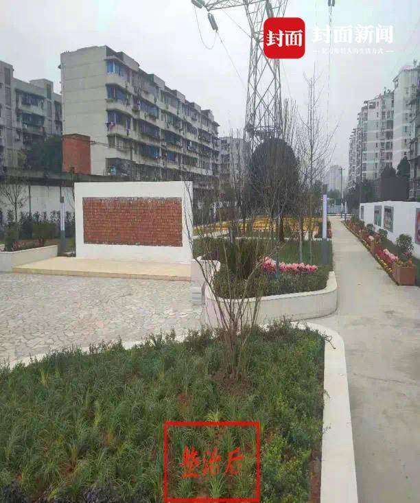 强化网格治理能力成都市龙泉驿区大面街道扎实推进城乡环境综合治理
