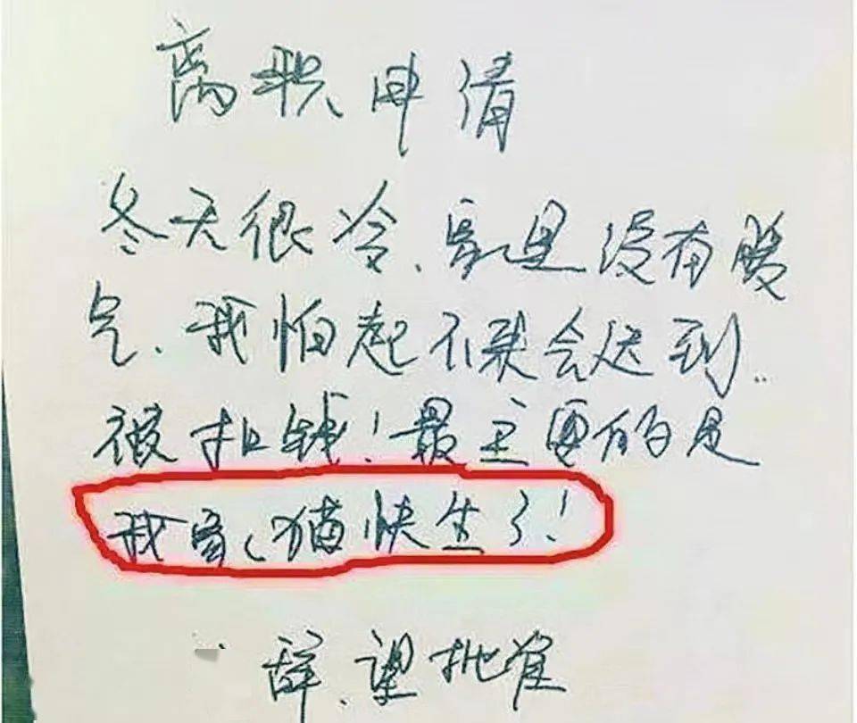 老子00后当场把老板给开了??好家伙老子真的开眼了…