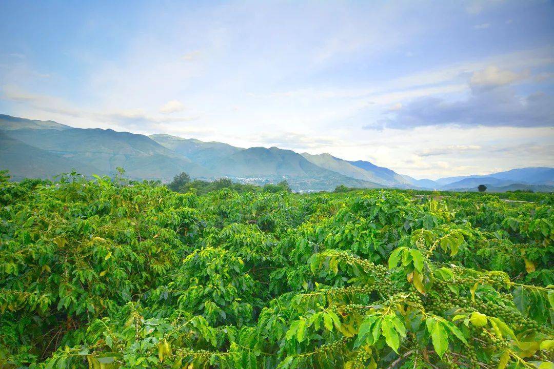 項目推介隆陽區文化和旅遊招商引資項目一覽