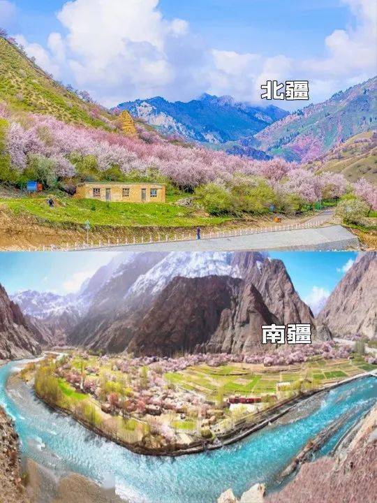 新疆春季杏花旅游攻略