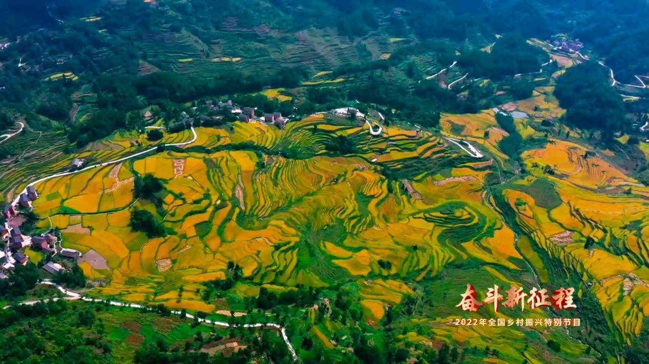 重庆酉阳元素出圈将登央视呈现乡村振兴新画卷