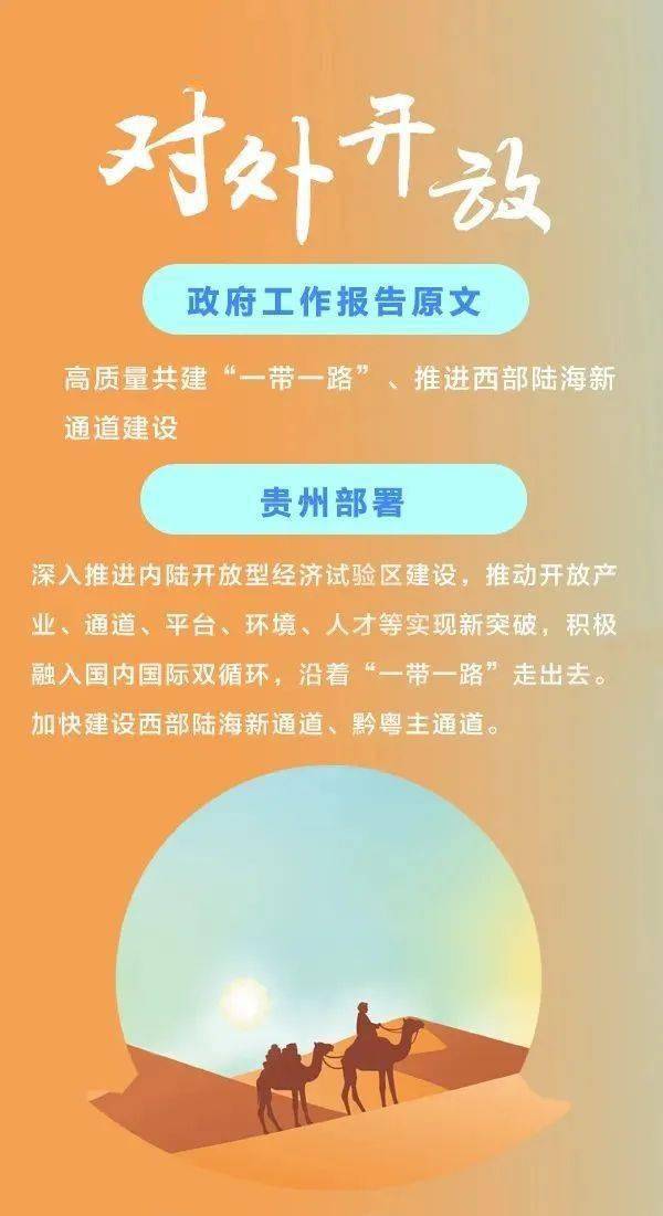 审核:龙 兵 龙启武【贵州新闻联播】大龙:和世界做生意的黔东开发区