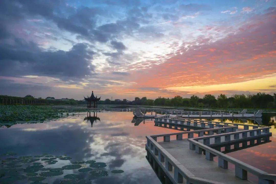 新型农村集体经济发展典型案例江阴市月城镇双泾村电商赋能为集体经济