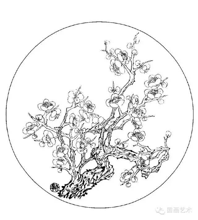 50幅白描梅花,練筆用~_變化_勾須_花朵